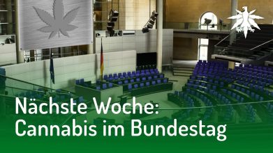 Nächste Woche: Cannabis im Bundestag | DHV-Video-News #154
