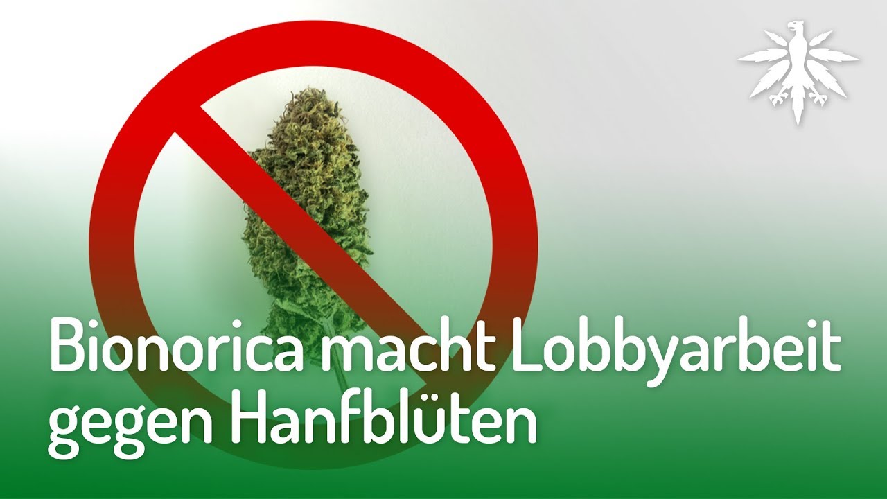 Bionorica macht Lobbyarbeit gegen Hanfblüten | DHV-Video-News #161