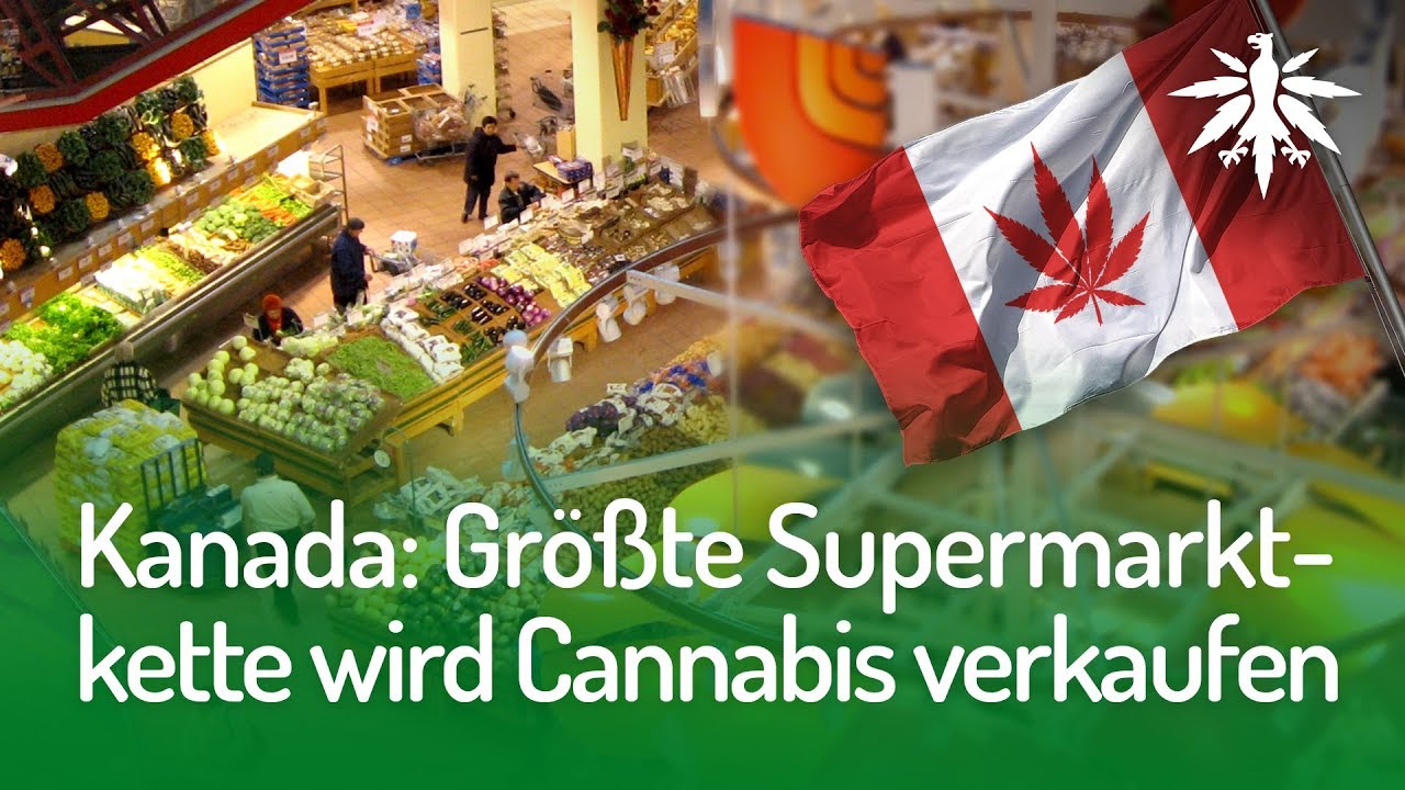 Kanada: Größte Supermarktkette wird Cannabis verkaufen | DHV-Video-News #164