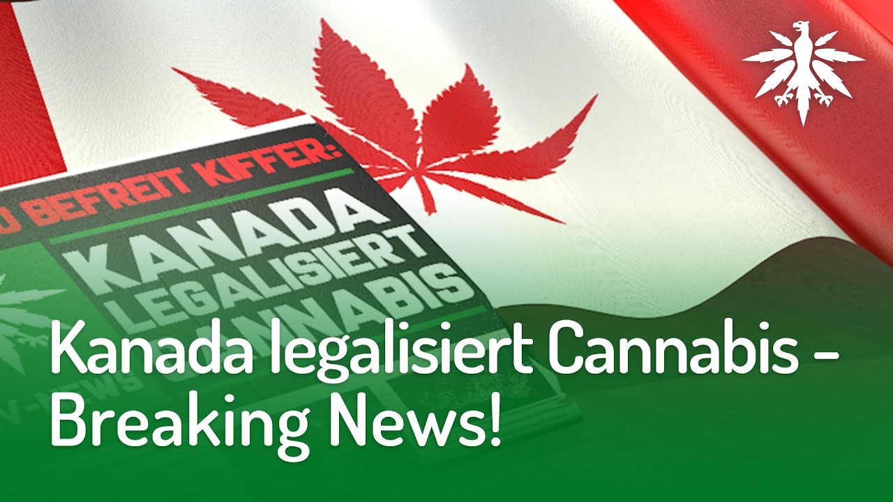 Kanada legalisiert Cannabis – Breaking News! | DHV-Video-News #170