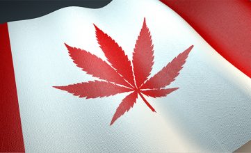 Kanada legalisiert am 17. Oktober