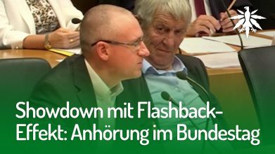 Showdown mit Flashback-Effekt: Anhörung im Bundestag | DHV-Video-News #171