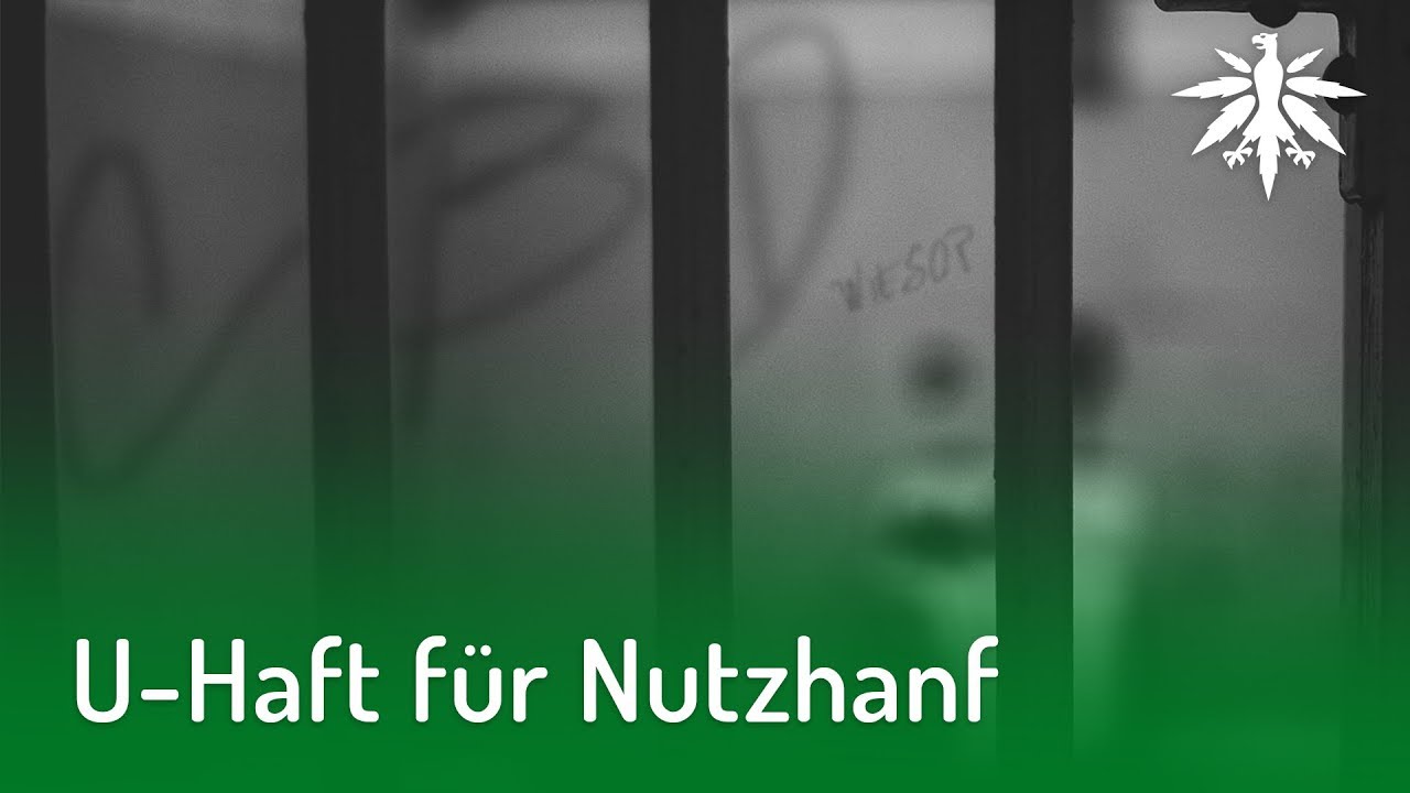U-Haft für Nutzhanf | DHV-Video-News #180