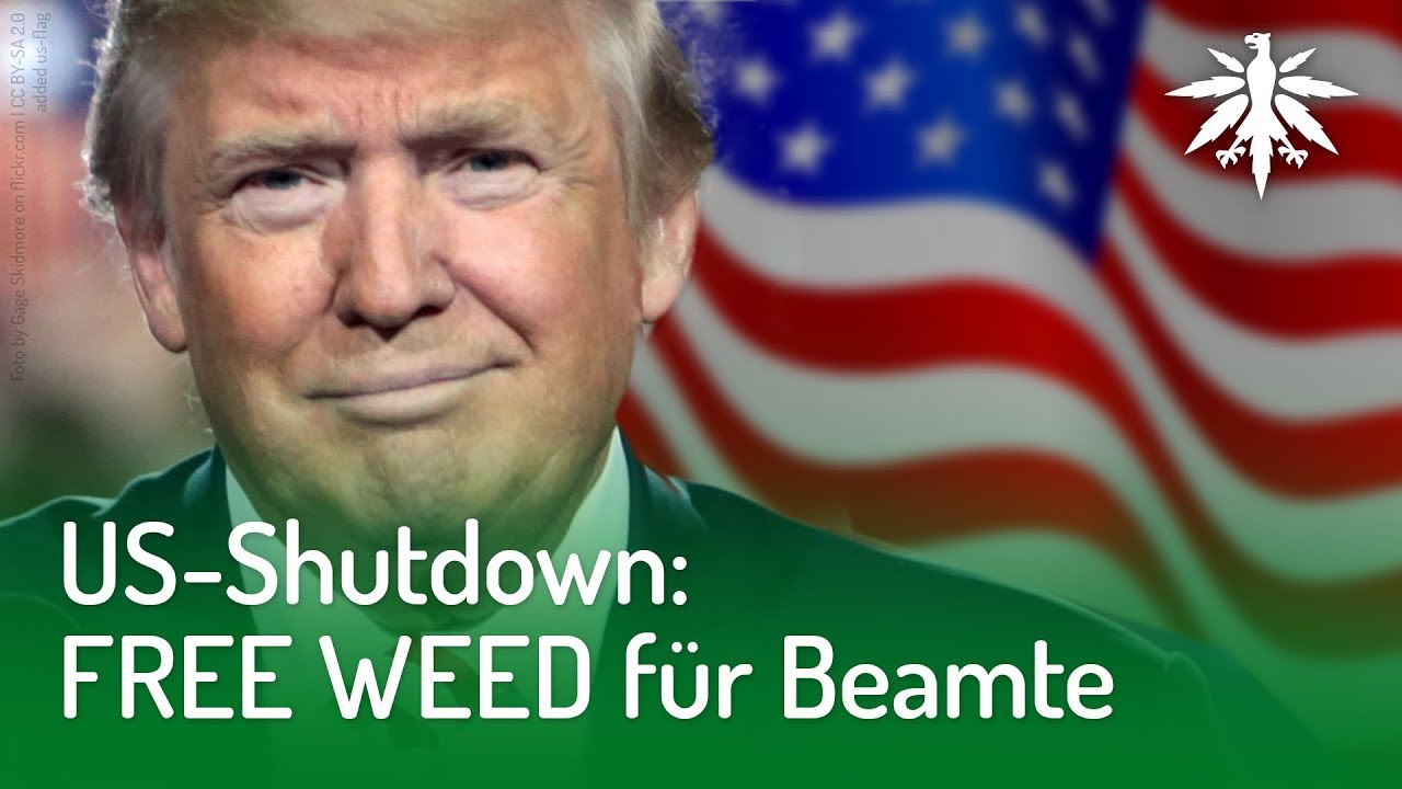 US-Shutdown: Free Weed für Beamte | DHV-Video-News #193