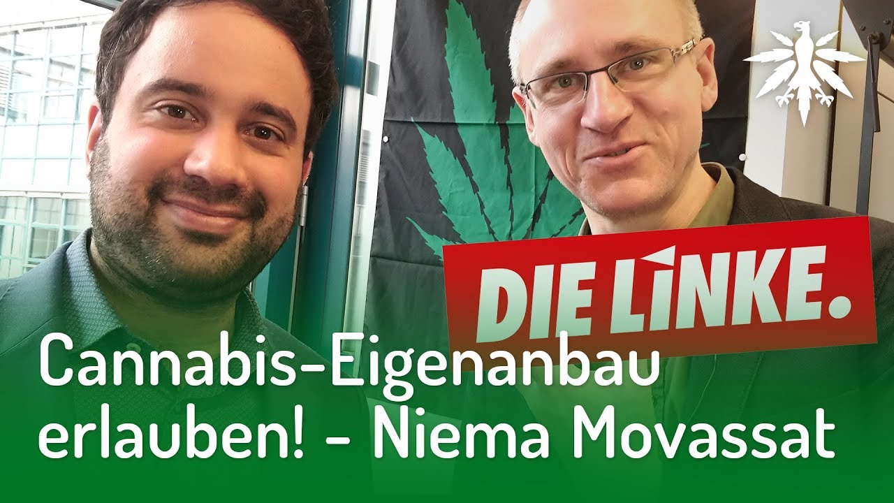Niema Movassat: DIE LINKE & Cannabis (Video)