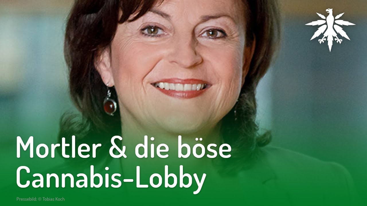 Mortler & die böse Cannabis-Lobby | DHV-Video-News #199