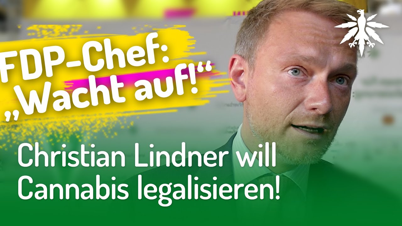 Christian Lindner will Cannabis legalisieren! (Video)