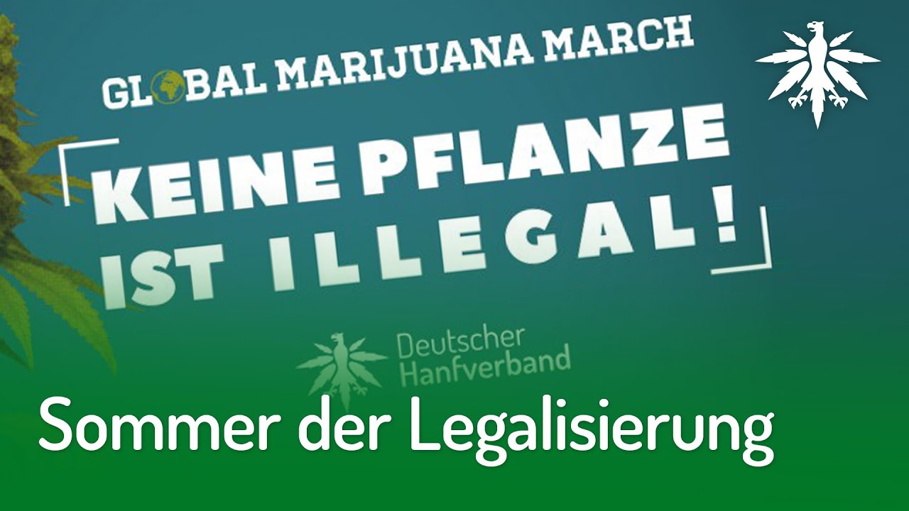 Sommer der Legalisierung: Smoke-In & Demo im Mai | DHV-Video-News #204