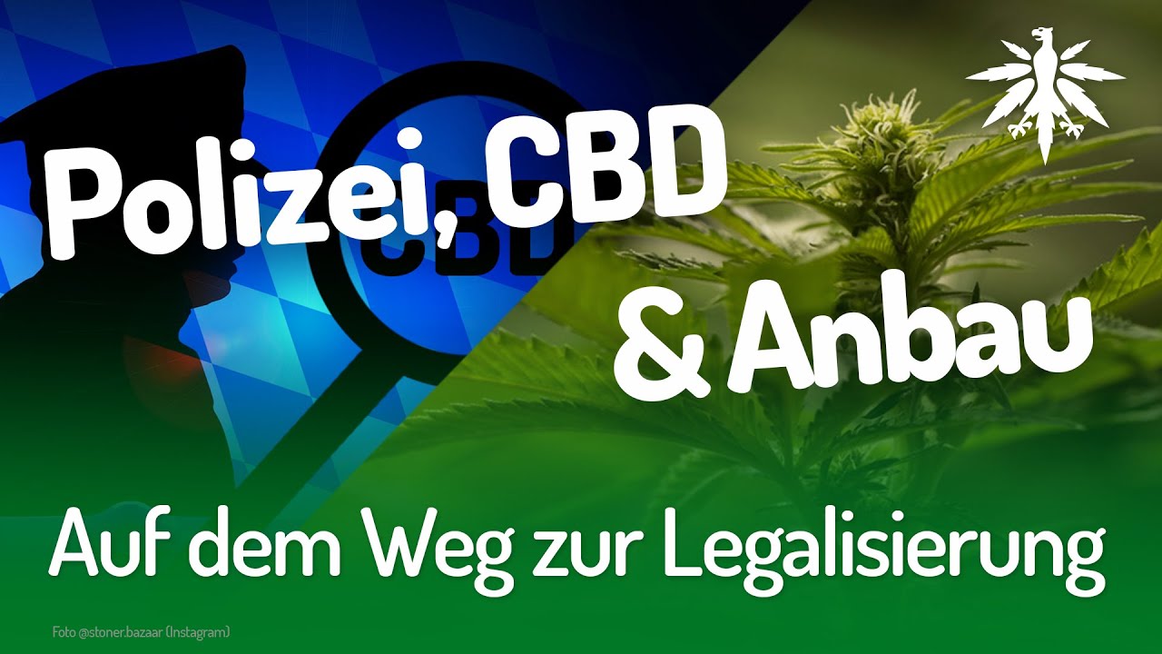 Auf dem Weg zur Legalisierung | DHV-Video-News #203