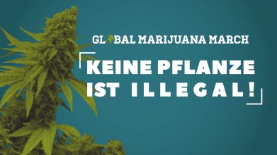 Global Marijuana March 2019: In über 30 deutschen Städten wird für die Legalisierung demonstriert