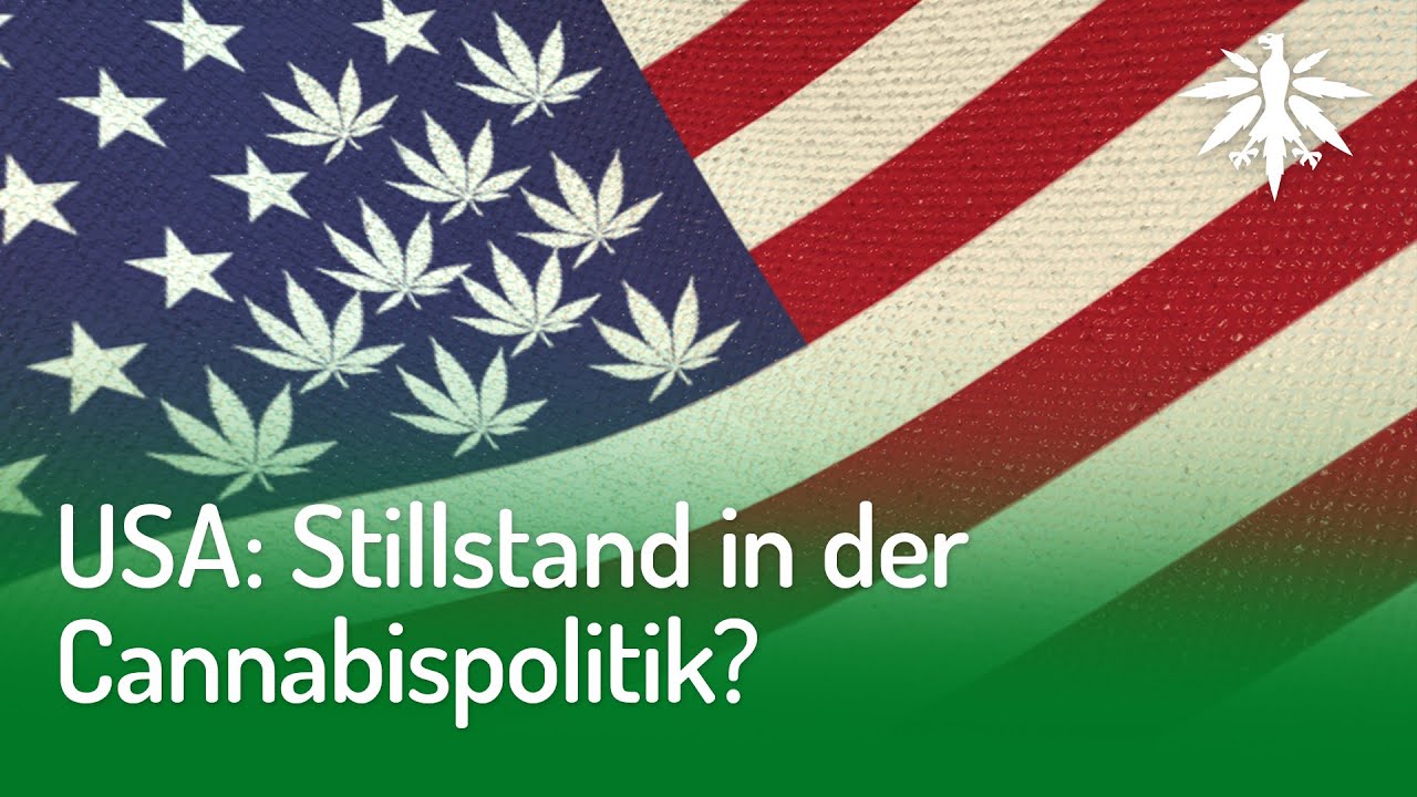 USA: Stillstand in der Cannabispolitik? | DHV-Video-News #222