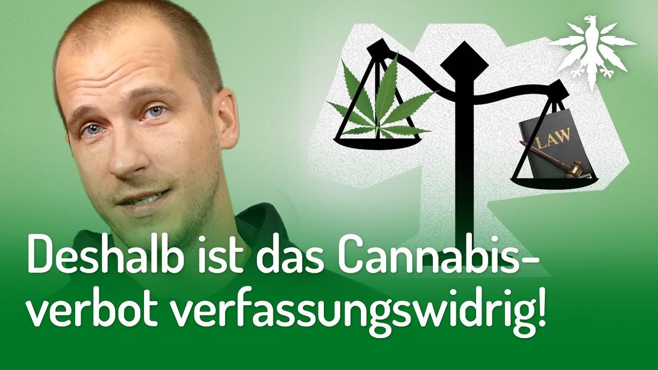 DESHALB ist das Cannabisverbot verfassungswidrig! (Video)
