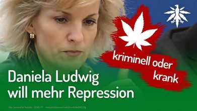 Daniela Ludwig will mehr Repression | DHV-Video-News #234
