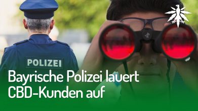 Bayrische Polizei lauert CBD-Kunden auf | DHV-Video-News #239