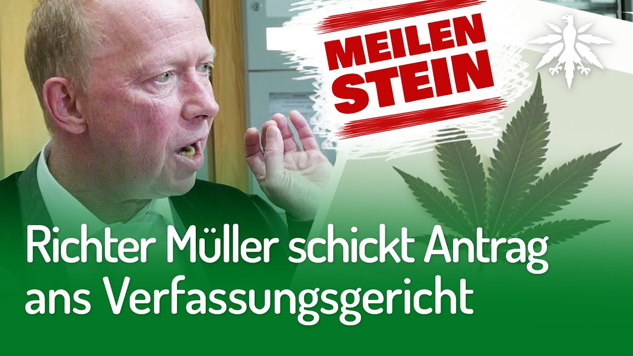 Richter Müller schickt Antrag ans Verfassungsgericht | DHV-Video-News #246