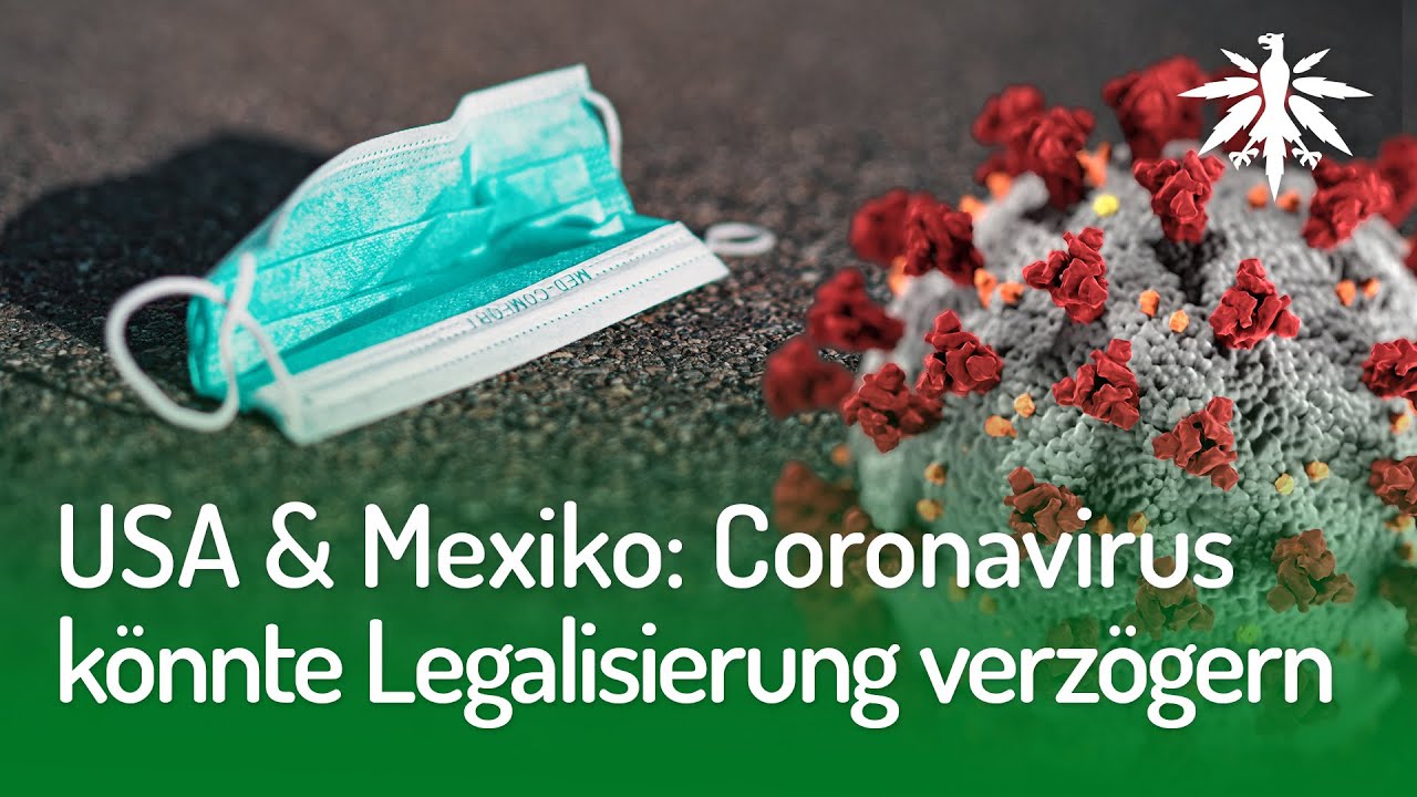 USA & Mexiko: Coronavirus könnte Legalisierung verzögern | DHV-Video-News #243