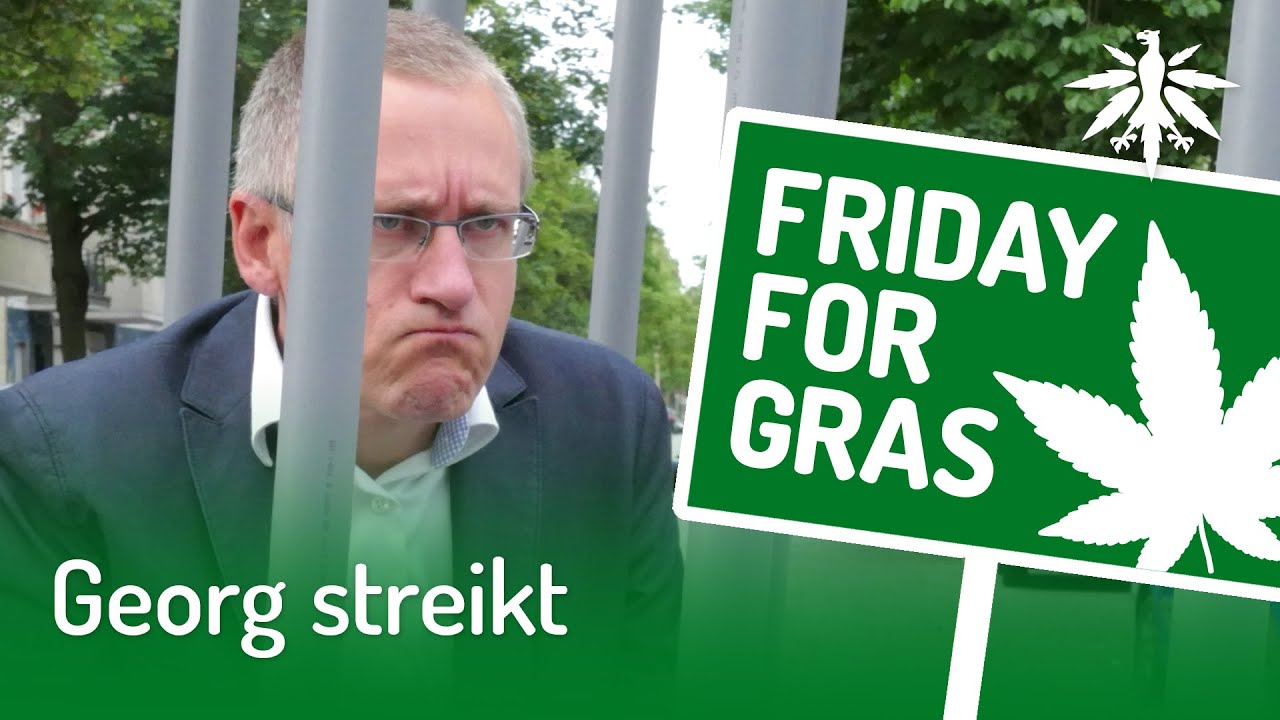Georg streikt | DHV-Video-News #247