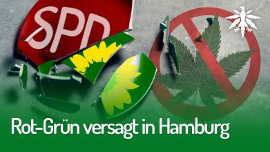 Rot-Grün versagt in Hamburg | DHV-Video-News #251