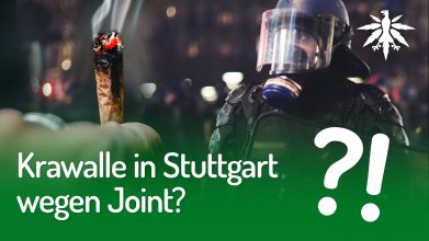 Krawalle in Stuttgart wegen Joint? | DHV-Video-News #254