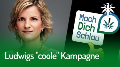 Ludwigs “coole” Kampagne | DHV-Video-News #252