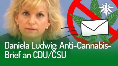 Daniela Ludwig: Anti-Cannabis-Brief an CDU/CSU | DHV-Video-News #258