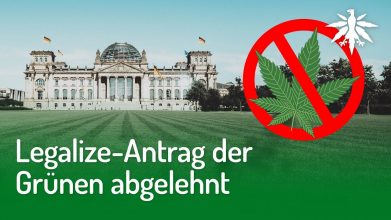 Legalize-Antrag der Grünen abgelehnt | DHV-Video-News #263