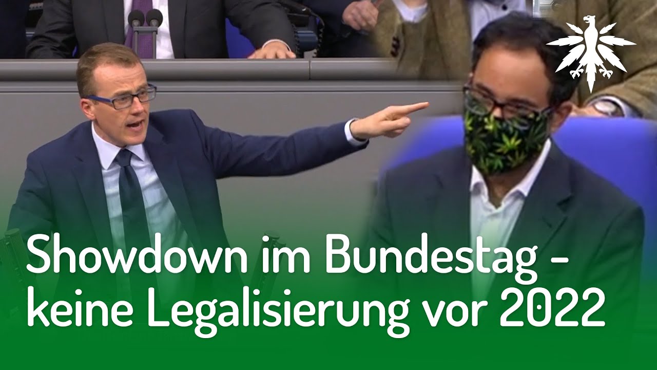 Showdown im Bundestag – keine Legalisierung vor 2022 | DHV-Video-News #268