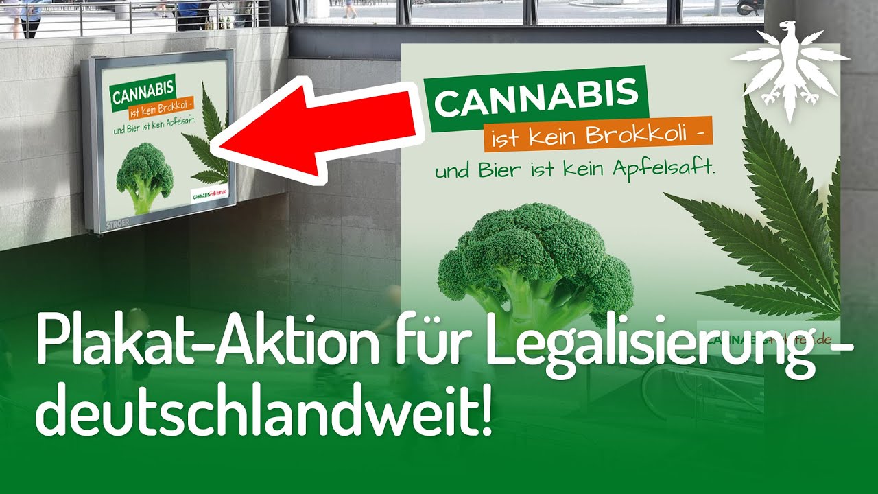 Plakat-Aktion für Legalisierung – deutschlandweit! | DHV-Video-News #266