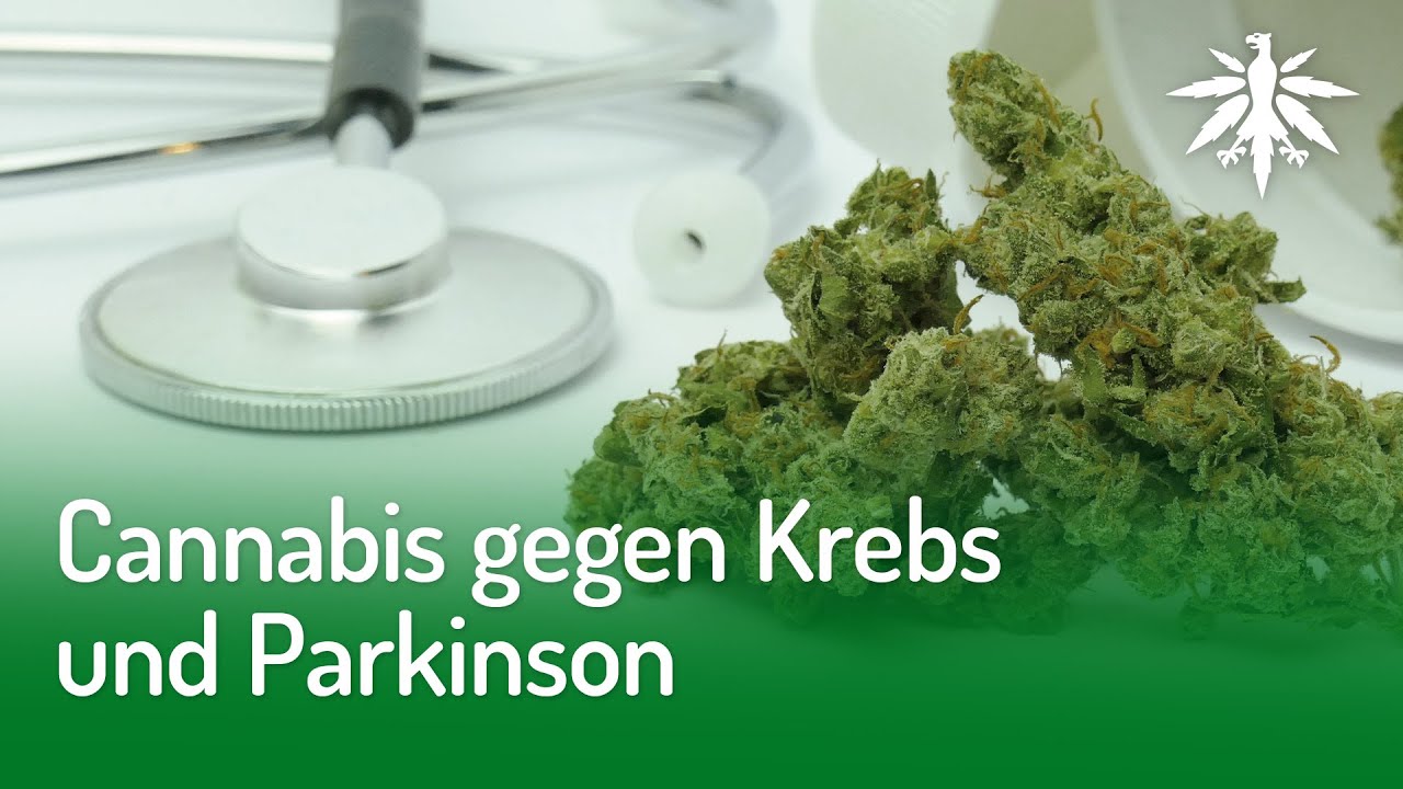Cannabis gegen Krebs und Parkinson | DHV-Video-News #265