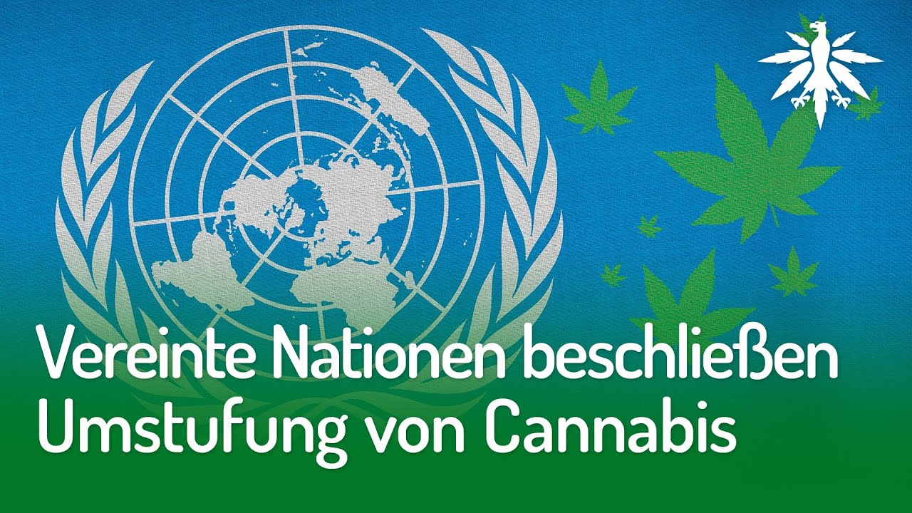 Vereinte Nationen beschließen Umstufung von Cannabis | DHV-Video-News #273