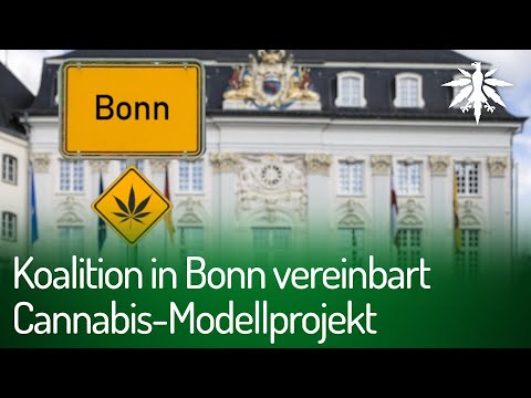 Koalition in Bonn vereinbart Cannabis-Modellprojekt | DHV-Video-News #279