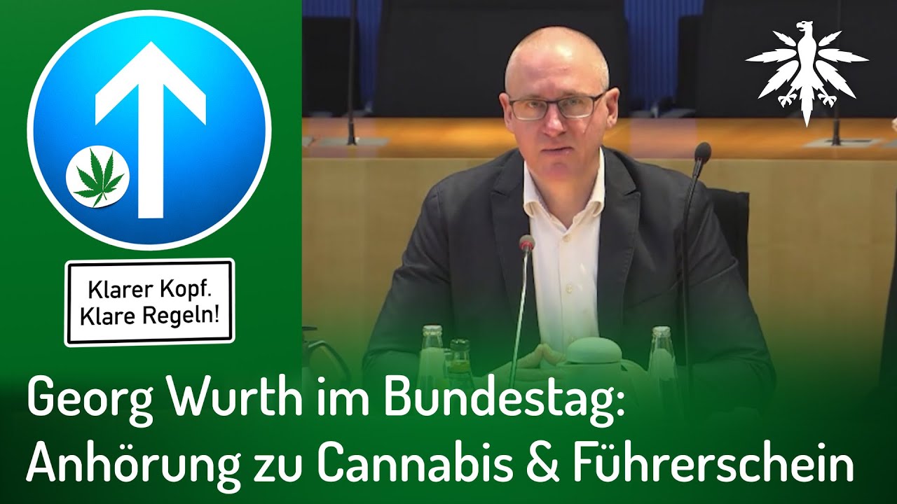 Georg Wurth im Bundestag: Anhörung zu Cannabis & Führerschein (Video)
