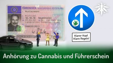 Anhörung zu Cannabis und Führerschein | DHV-Video-News #283