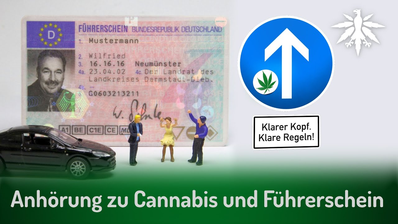 Anhörung zu Cannabis und Führerschein | DHV-Video-News #283