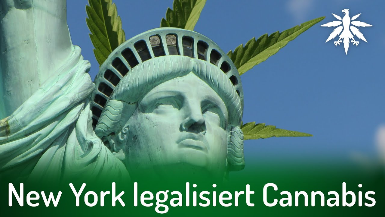 New York legalisiert Cannabis | DHV-Video-News #287