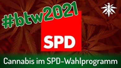 Cannabis im SPD-Wahlprogramm | DHV-Video-News #293
