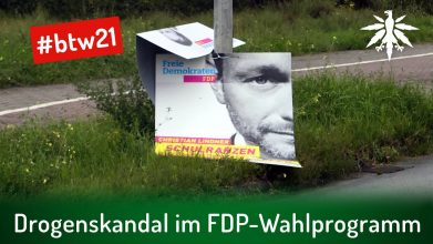 Drogenskandal im FDP-Wahlprogramm | DHV-Video-News #294