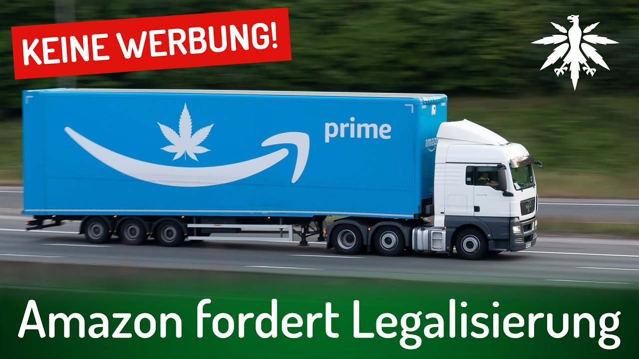 Amazon fordert Legalisierung | DHV-Video-News #296