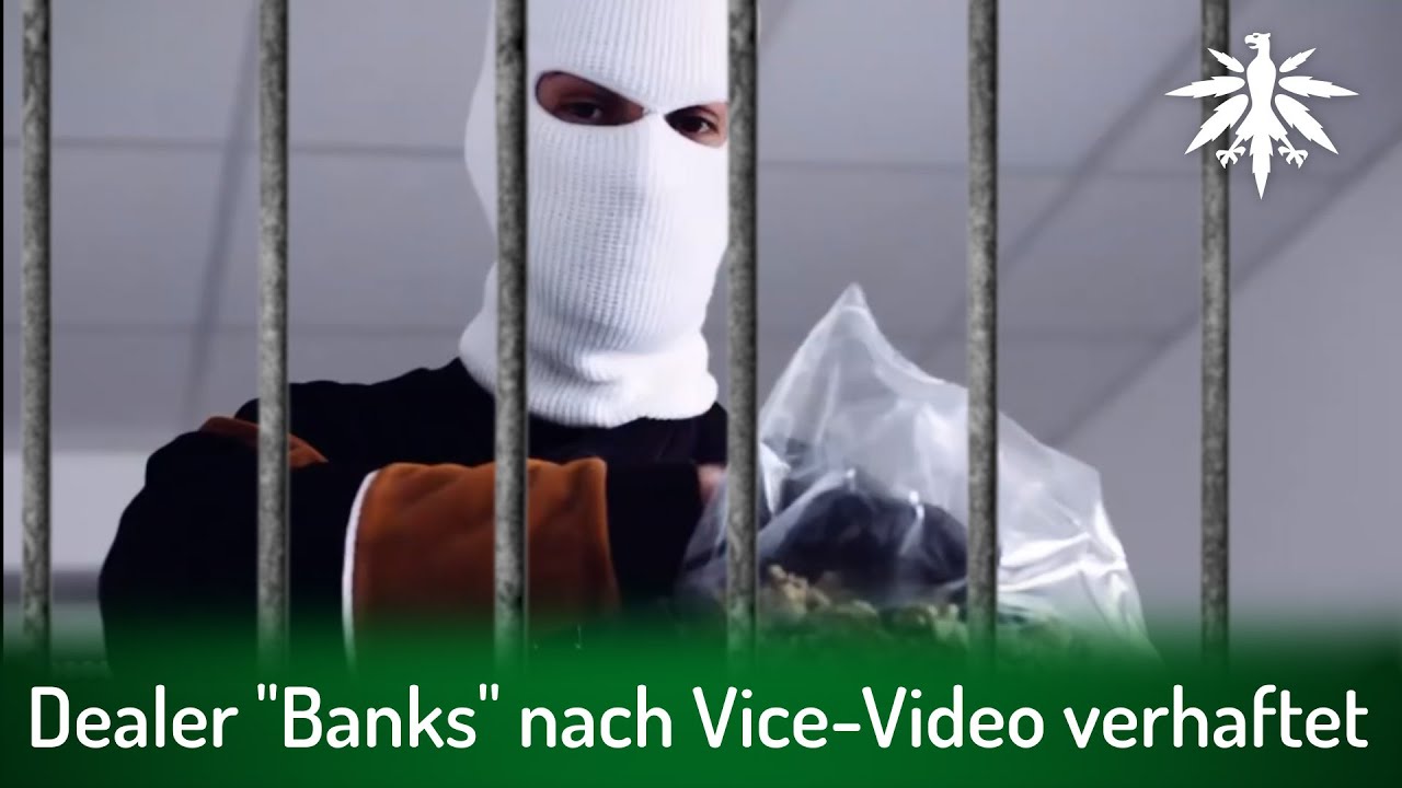 Dealer “Banks” nach Vice-Video verhaftet | DHV-Video-News #297