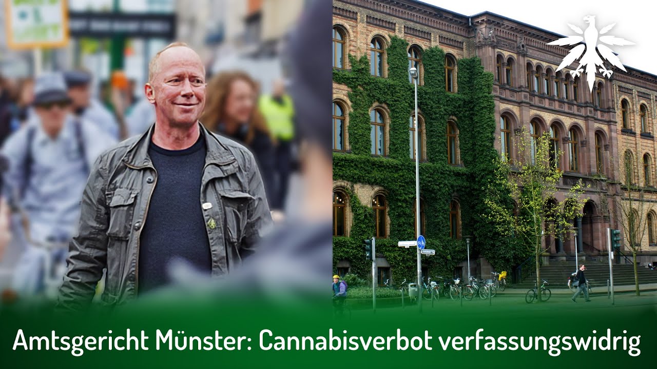 Amtsgericht Münster: Cannabisverbot verfassungswidrig | DHV-Video-News #300