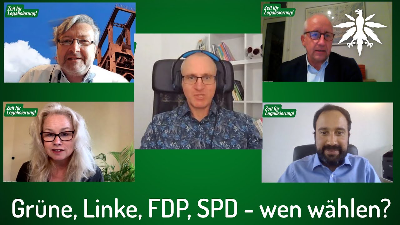 Grüne, Linke, FDP, SPD – wen wählen? Diskussionsrunde (Video)