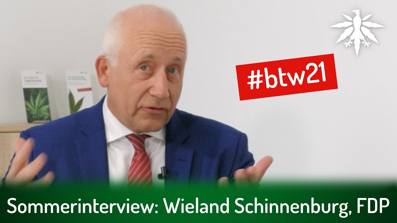 Sommerinterview: Wieland Schinnenburg, FDP (Video)