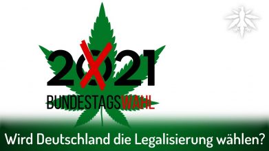 Showdown: Wird Deutschland die Legalisierung wählen? | DHV-Video-News #308