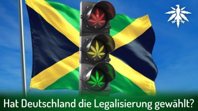 Hat Deutschland die Legalisierung gewählt? | DHV-Video-News #309