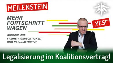 Meilenstein: Legalisierung im Koalitionsvertrag! | DHV-Video-News #317