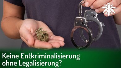 Keine Entkriminalisierung ohne Legalisierung? | DHV-Video-News #328