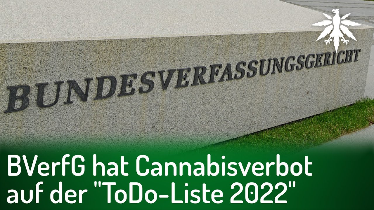 BVerfG hat Cannabisverbot auf der “ToDo-Liste 2022” | DHV-Video-News #329