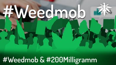 #weedmob & #200Milligramm | DHV-Video-News #326