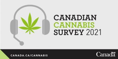 Schwarzmarkt in Kanada bricht weiter ein – Ergebnisse des Canadian Cannabis Survey 2021