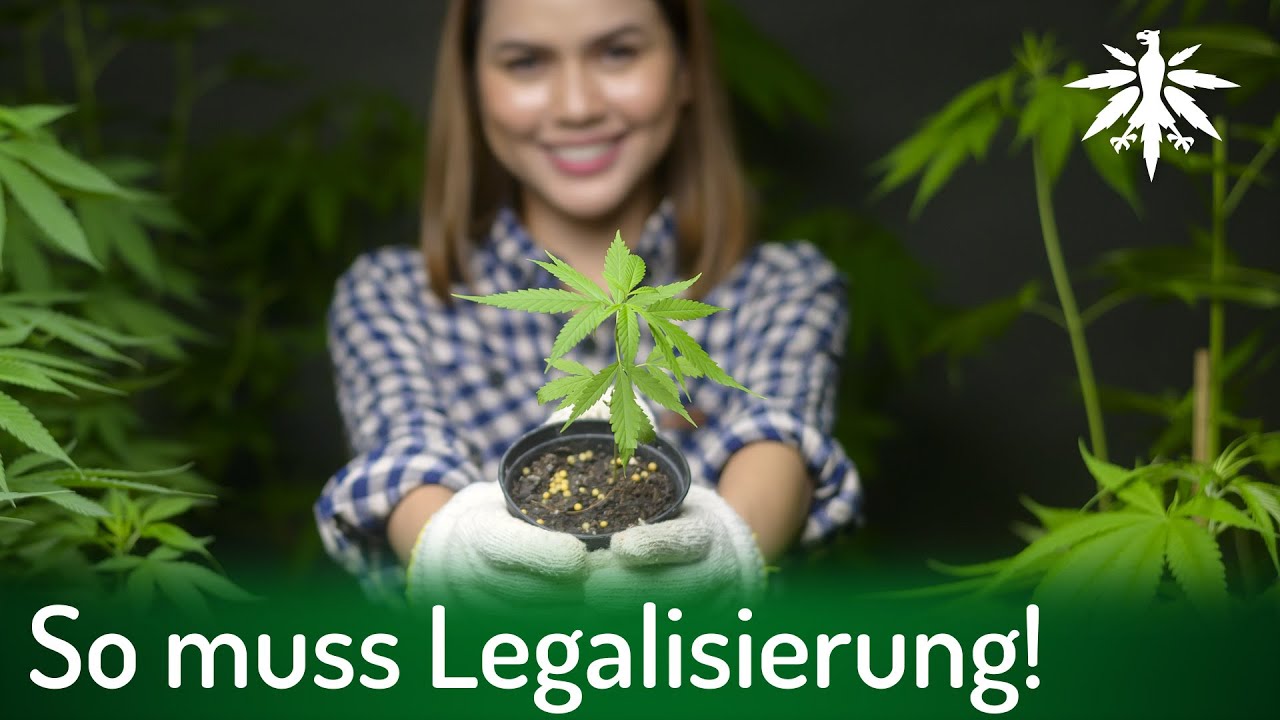 So muss Legalisierung! | DHV-Video-News #334